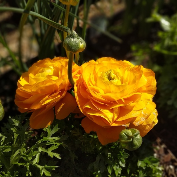 Meet the Posher Other - Meet your Posher, Eric